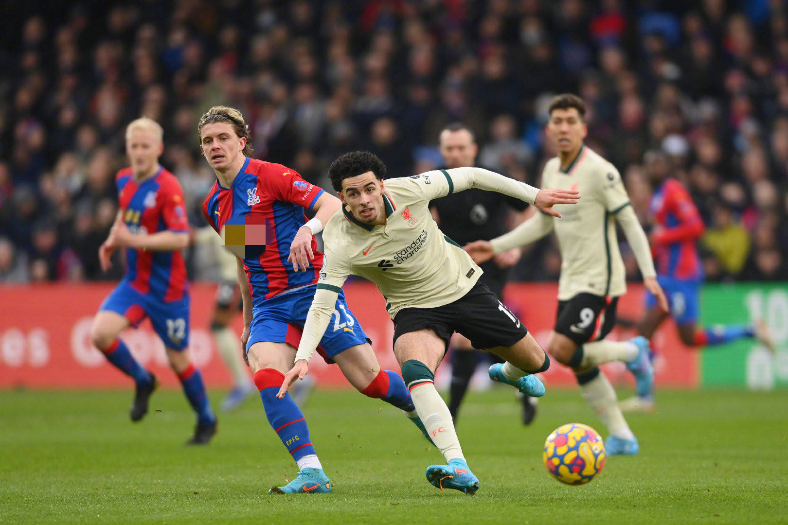 解析蓝月军 解析蓝月军